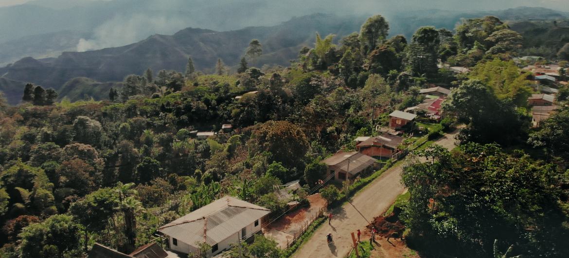 كاوكا، منطقة في كولومبيا تأثرت بشكل خاص بالنزاع المستمر منذ عقود.