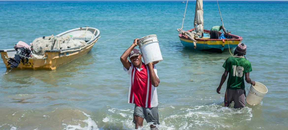 يؤدي الصيد المستدام إلى تحسين سبل العيش في هايتي.