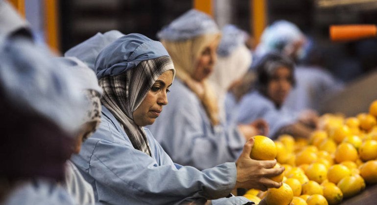 شركة تعبئة الحمضيات في المغرب، إحدى مجالات التعاون بين الفاو ومنظمة التجارة العالمية حول معايير السلامة الغذائية. المصدر: الفاو / اليساندرا بينيديتي