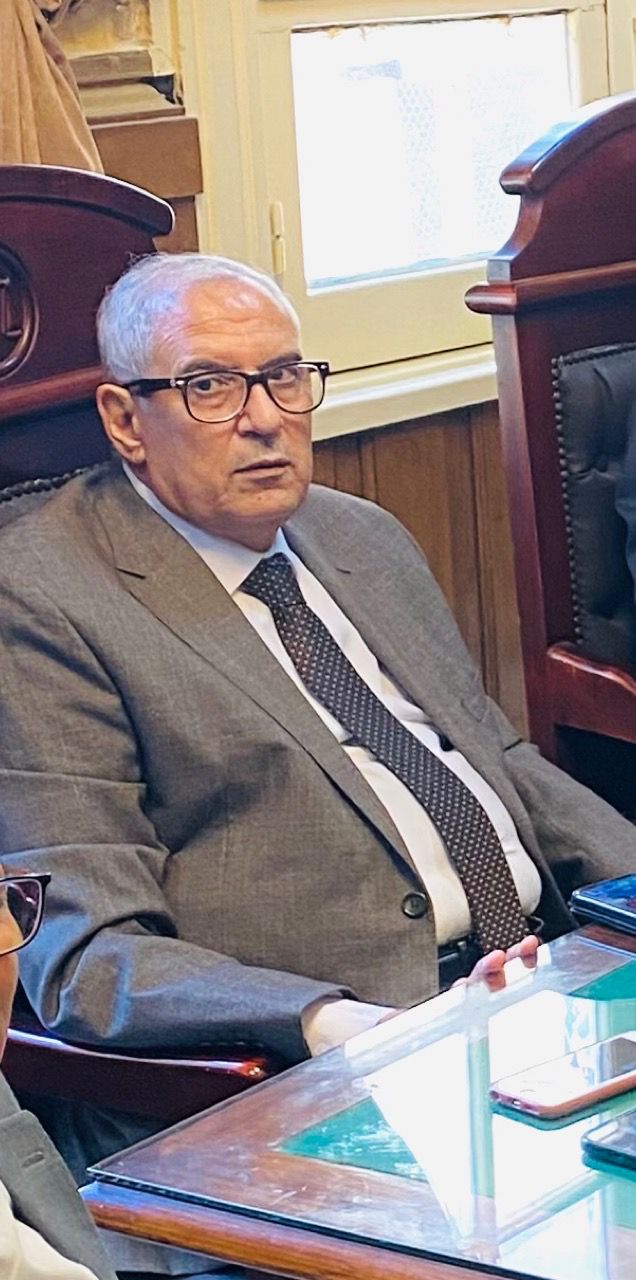 المستشار محمد نصر رئيسا لمحكمة استئناف القاهرة