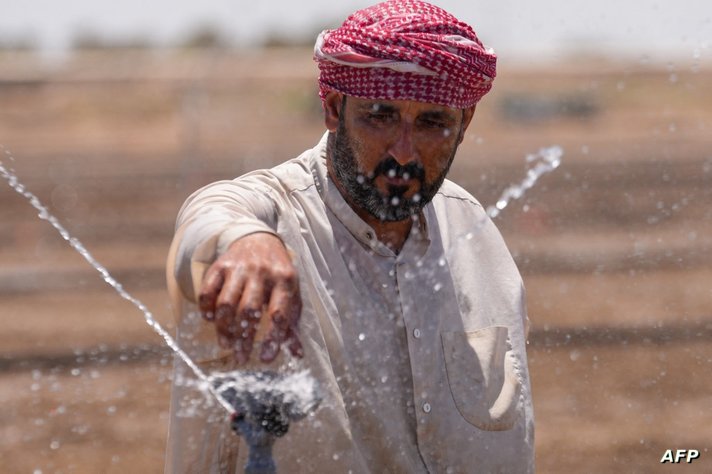 استخدام المرشات بدلا من طريقة الغمر في زراعة لأرز